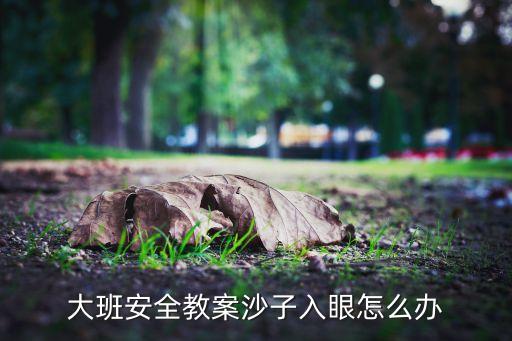大班安全教案沙子入眼怎么办