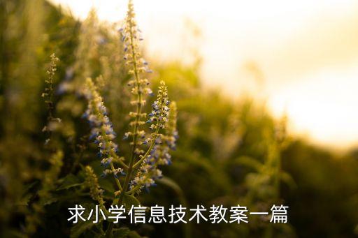 求小学信息技术教案一篇