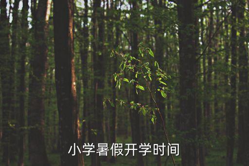 小学暑假开学时间