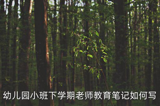 幼儿园小班下学期老师教育笔记如何写