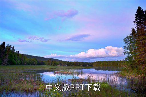 中文版PPT下载