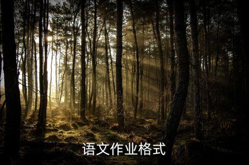 语文作业格式