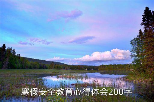 寒假安全教育心得体会200字