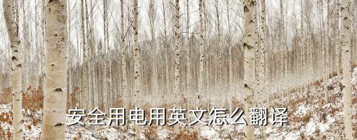 安全用电用英文怎么翻译