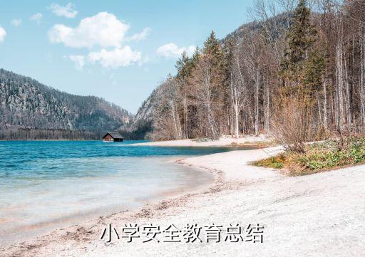 小学安全教育教学工作总结，小学安全教育总结