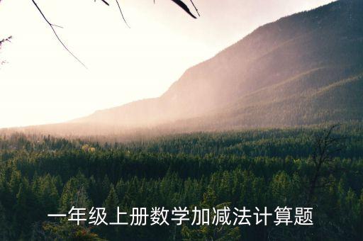一年级上册数学加减法计算题