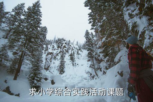 求小学综合实践活动课题