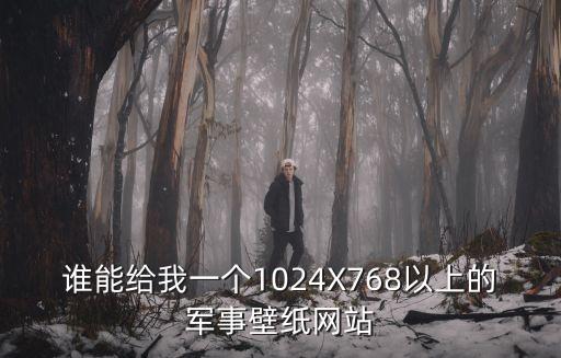 谁能给我一个1024X768以上的军事壁纸网站