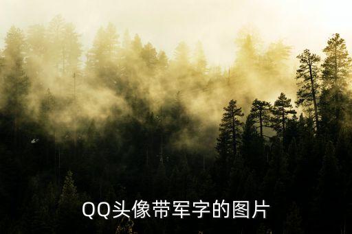 QQ头像带军字的图片