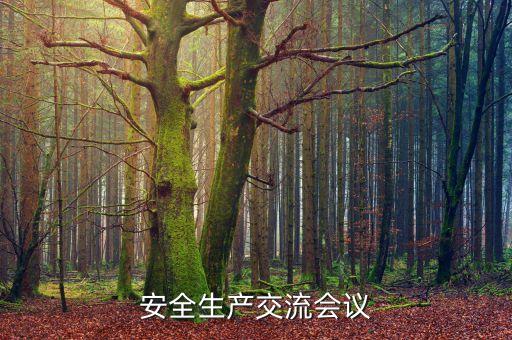 安全生产交流会议