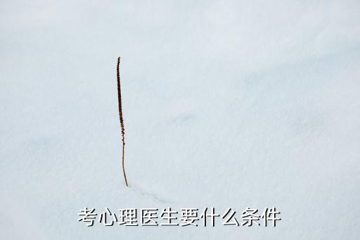 考心理医生证需要什么条件，考心理医师证要什么要求