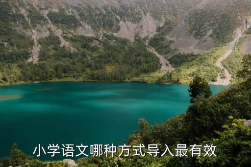 小学语文哪种方式导入最有效