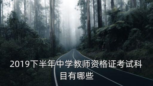 2019下半年中学教师资格证考试科目有哪些