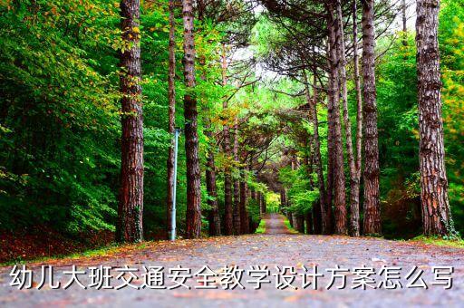 幼儿大班交通安全教学设计方案怎么写
