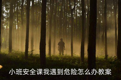 小班安全课我遇到危险怎么办教案