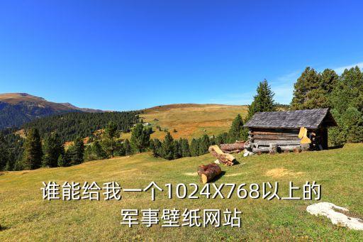 部队图片大全高清图片壁纸，谁能给我一个1024X768以上的军事壁纸网站