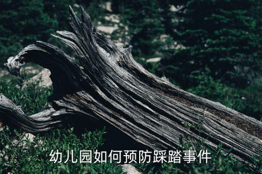 幼儿园防踩踏方案预案，如何防止踩踏事故的教案