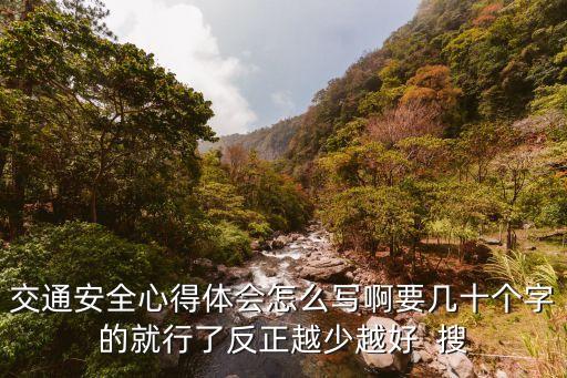 交通安全心得体会怎么写啊要几十个字的就行了反正越少越好  搜