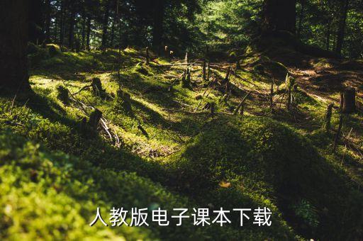 人教版电子课本下载