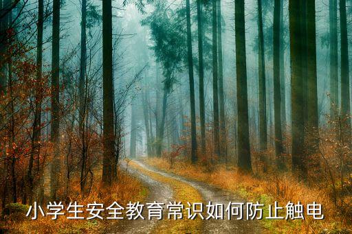 小学生安全教育常识如何防止触电