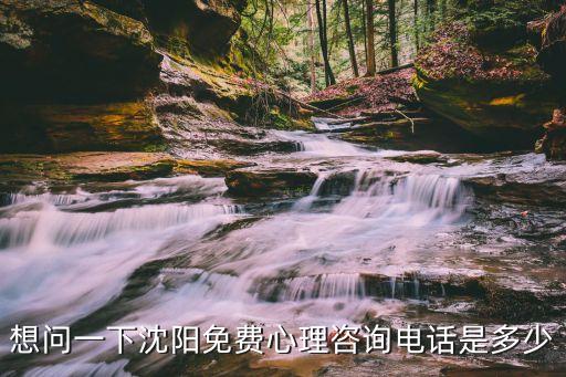 想问一下沈阳免费心理咨询电话是多少