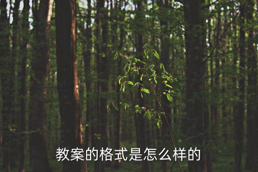 教案的格式是怎么样的