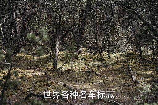 世界各种名车标志