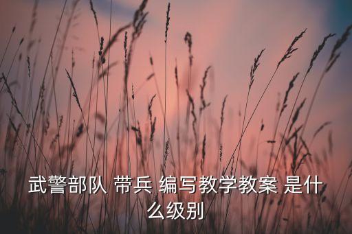 武警部队 带兵 编写教学教案 是什么级别