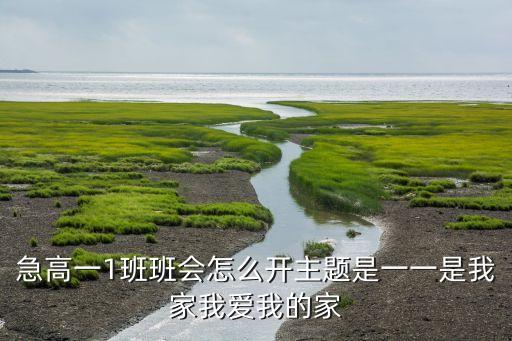 急高一1班班会怎么开主题是一一是我家我爱我的家