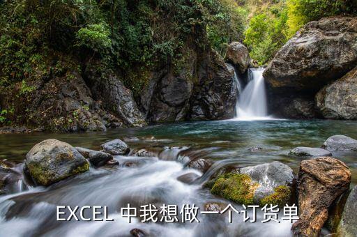 EXCEL 中我想做一个订货单