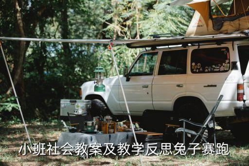 小班教案反思万能模板，小班上下铺教学反思