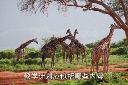 教学计划应包括哪些内容