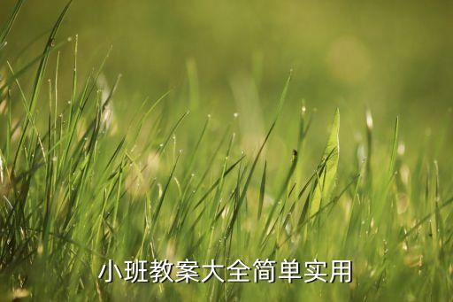幼儿园教案简案范文大全，小班教案大全简单实用