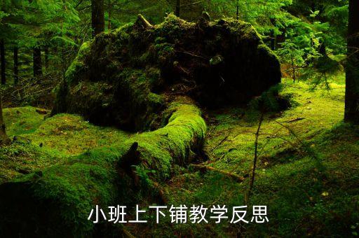 小班上下铺教学反思