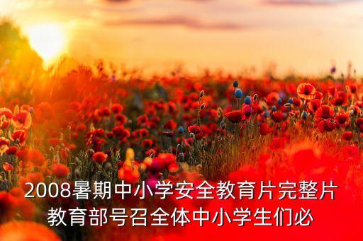 2008暑期中小学安全教育片完整片教育部号召全体中小学生们必