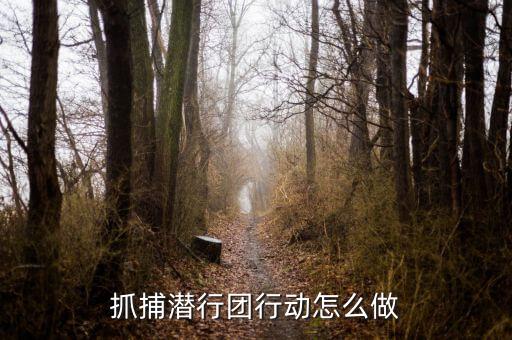 抓捕潜行团行动怎么做