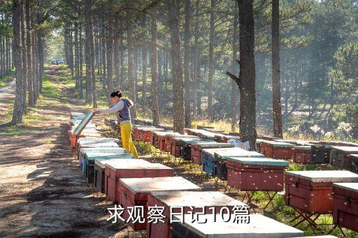 大班个别幼儿观察记录表10篇，幼儿园个案观察记录