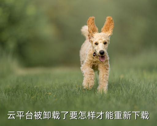 云平台被卸载了要怎样才能重新下载