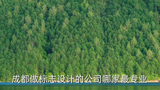 成都做标志设计的公司哪家最专业