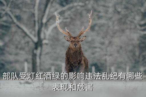 部队受灯红酒绿的影响违法乱纪有哪些表现和危害