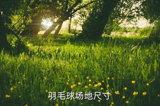 羽毛球场地尺寸