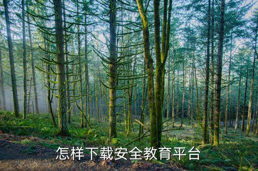 怎样下载安全教育平台