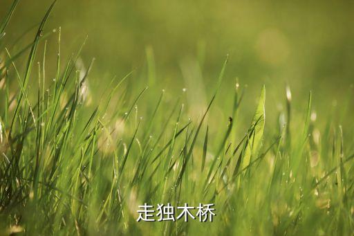 走独木桥