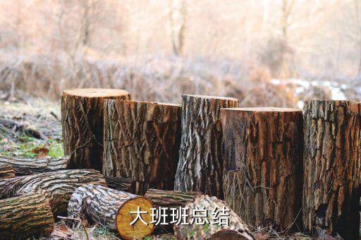大班班总结