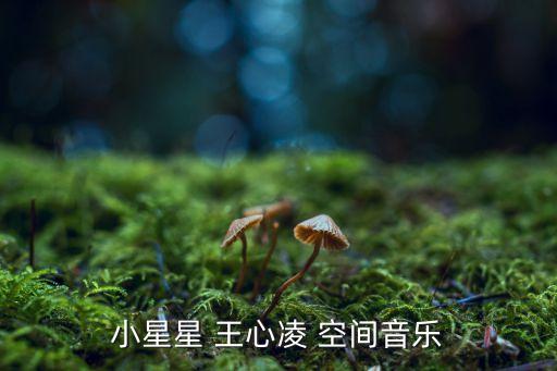 小星星 王心凌 空间音乐