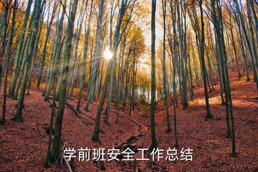 学前班安全工作总结