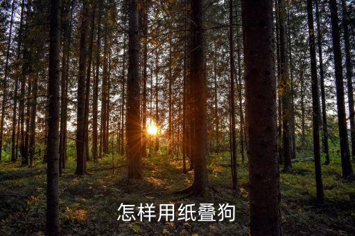 怎样用纸叠狗