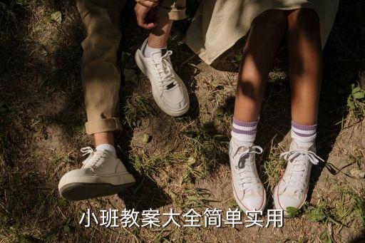 小班教案大全简单实用