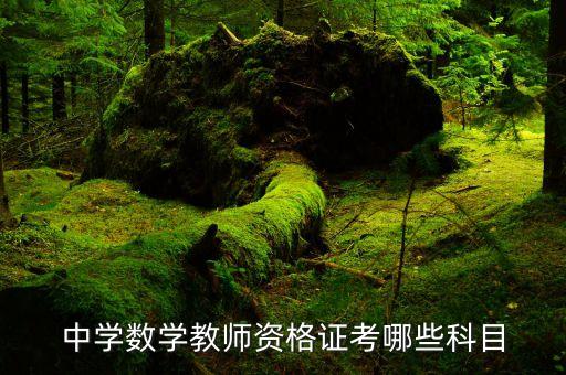 初中数学教资考几个科目，中学数学教师资格证考哪些科目