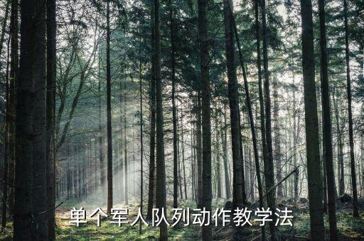 部队教学法作业讲评，中国人民解放军班队列教学法